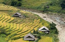 Sapa 1 Day Trek With Local Guide - Villages & Rice Fields 