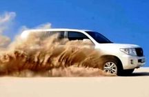 Doha Full Day Premium Desert Safari with Lunch or Dinner