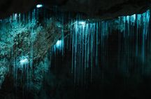 Starburst Cathedral deep inside Milky Way Glowworm Cave