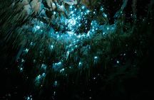 Starburst Cathedral deep inside Milky Way Glowworm Cave