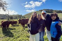 Farm to Picnic: Animals, Seasonal Upick Fruit & Countryside Lunch