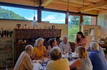 Light lunch and wine tasting in Garfagnana with sommelier