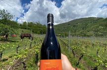 Light lunch and wine tasting in Garfagnana with sommelier