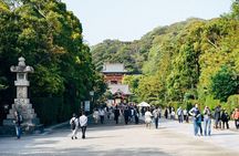 Kamakura and Yokohama Private and Custom Tour with English Driver