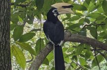Jungle and Heritage Walk in Singapore
