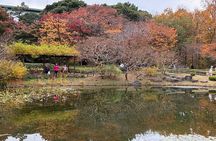Tokyo Imperial Palace: Understand Japan Through Historian's Tour
