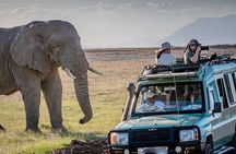 7 Day Kilimanjaro, Serengeti & Ngorongoro Adventure