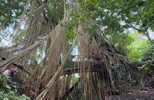 Benoa Port : Cruise Ship Shore Excursion - Private Guided Tour