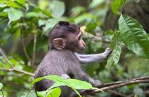 Benoa Port : Cruise Ship Shore Excursion - Private Guided Tour