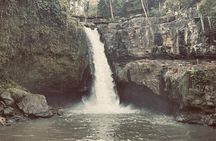 Benoa Port : Cruise Ship Shore Excursion - Private Guided Tour