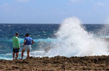  Private Tour in South Bonaire - Flamingos and Salt flats