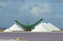  Private Tour in South Bonaire - Flamingos and Salt flats