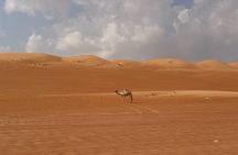 Wahiba Sands Desert Adventure Dune Drive and Camp