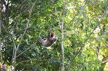 Peñas Blancas River: Wildlife Safari Experience by Raft