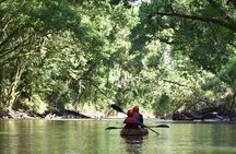 Peñas Blancas River: Wildlife Safari Experience by Kayak