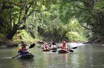 Peñas Blancas River: Wildlife Safari Experience by Kayak