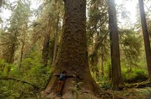 Olympic Two Day Private Tour and Hike