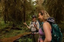 Olympic Two Day Private Tour and Hike