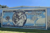 Private St. Petersburg Mural and Street Art Tour by Golf Cart