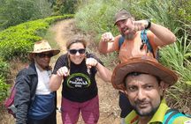 Full Day Hantana Pekoe Trail Hike from Kandy