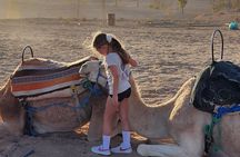 Agafay Desert: Dinner Show with Sunset Camel Ride