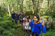 Preikestolen Hidden Trail and Canoe