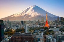 Private 2 Day Tokyo and Mt Fuji Custom Tour with English Driver