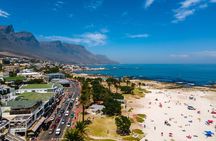 Shared Cape Peninsula Full Day Tour Scenic Views and Wildlife
