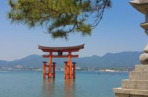 Hiroshima Peace Memorial and Miyajima 1 Day Tour with Local