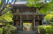 Hiroshima Peace Memorial and Miyajima 1 Day Tour with Local