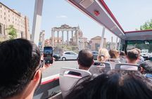 Catacombs Tour with Transfer – Optional Capuchin Crypt or Trevi