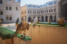 Doha Combo City Tour and Desert Safari with Pickup drop-off