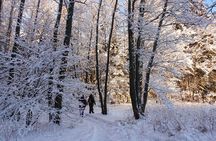 Hiking Tour and Campfire Lunch in Oulu