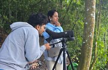 Santiago Atitlán Quetzal and Cloud Forest Birdwatching Tour