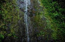 Samana El Limon Waterfall Guided Hike and Horseback Adventure