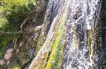 Samana El Limon Waterfall Guided Hike and Horseback Adventure