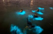 Grand Cayman - Bioluminescent Bay Tour