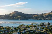 The Seasider - See Otago’s Coastline From a New Perspective
