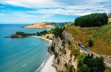The Seasider - See Otago’s Coastline From a New Perspective