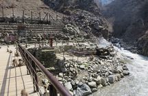 Nagano: Snow Monkeys of Jigokudani Guided Tour