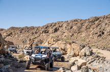 Oman Discovery by Buggy