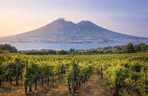  Wine Tasting Tour on the Slopes of Vesuvius