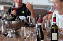 Wide area Piemonte Wine Tasting Experience at Private Villa