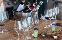 Wide area Piemonte Wine Tasting Experience at Private Villa