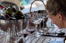 Wide area Piemonte Wine Tasting Experience at Private Villa