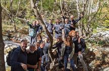 Pozar Baths to Edessa Waterfalls Shared Tour by Minivan