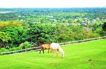 Puerto Princesa Half Day City Tour Feel and Live Like a Local