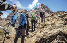 8 Days Lemosho Route Kilimanjaro Trek