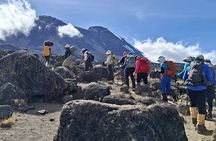 8 Days Lemosho Route Kilimanjaro Trek
