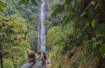 Materuni Waterfall, Coffee Tour & Chemka Hot Spring 